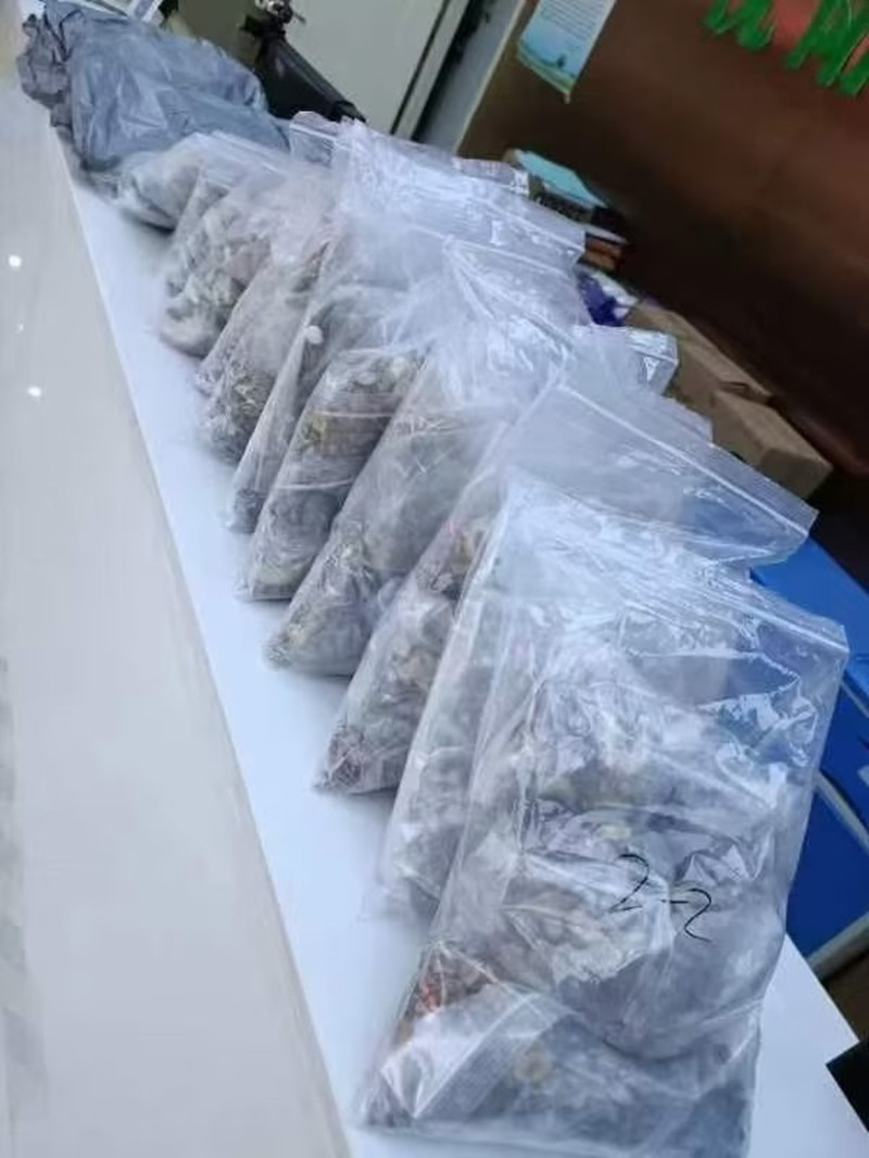 GA黄金甲(中国)最新官方网站