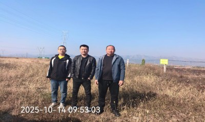 GA黄金甲(中国)最新官方网站