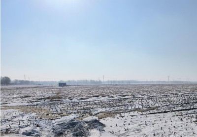 GA黄金甲(中国)最新官方网站